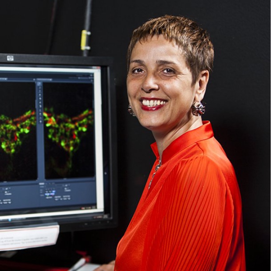 Julia Fernandez Rodriguez